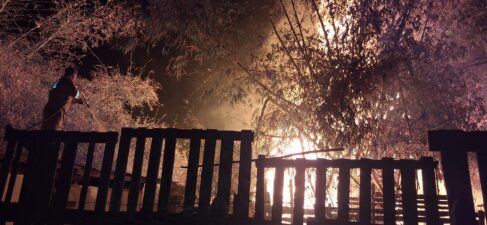 Um incêndio de grandes proporções atingiu uma grande área de vegetação na região do Hospital de Amor na noite de quinta-feira (11), por volta das 23h.