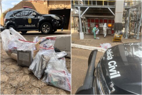 Polícia Civil realiza operação para destruição de drogas apreendidas (Foto: O Diário de Barretos)