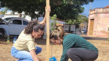 Os integrantes do projeto Vida Mais Verde comemorou o Dia da Árvore com o plantio de três mudas, na Praça existente na avenida 9 entre as ruas 16 e 18, no centro de Barretos.