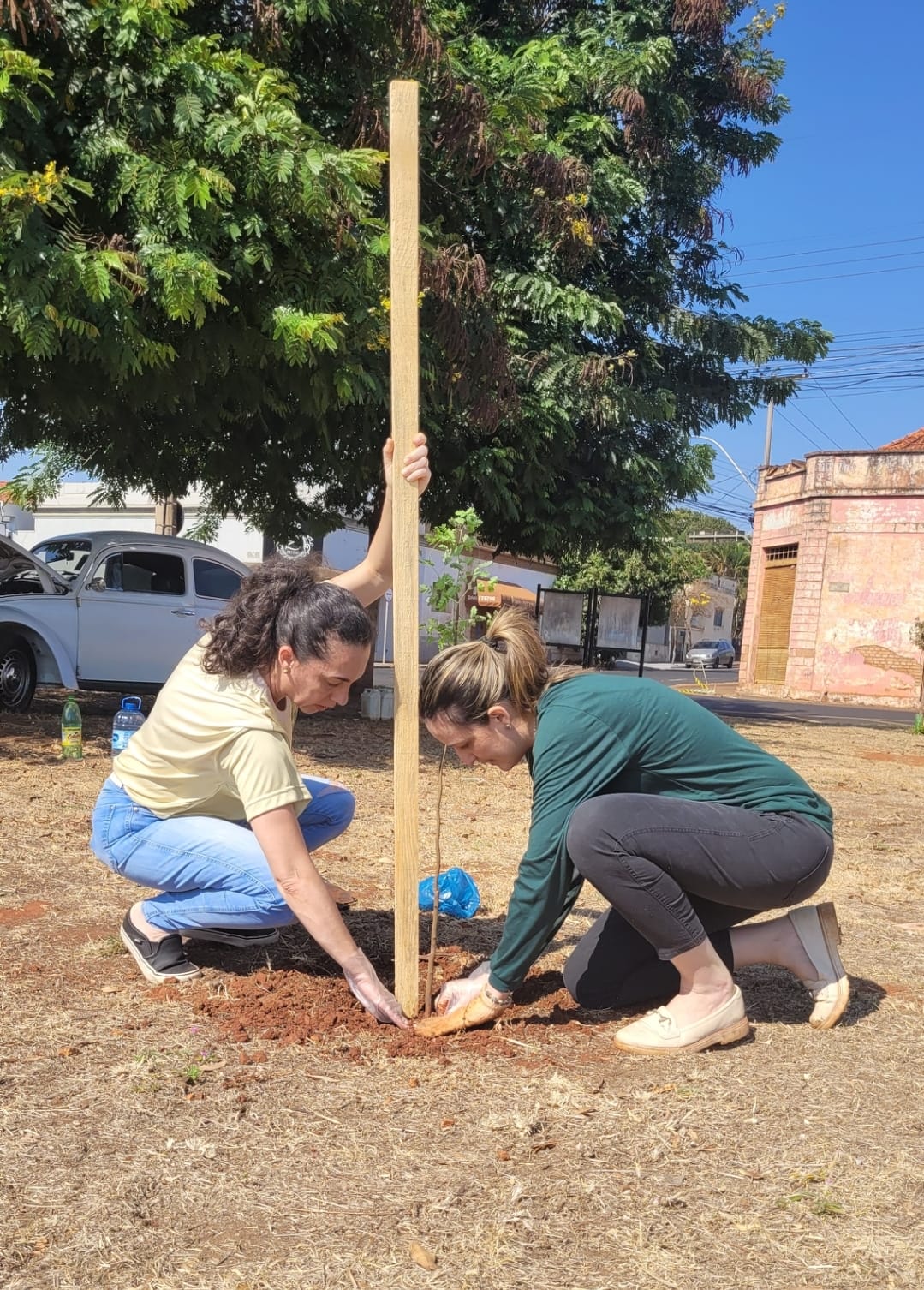 Dia de Árvore é comemorado com plantio de mudas no centro