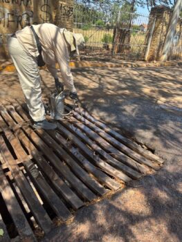 Agente de vetores durante trabalho de eliminação do mosquito da dengue