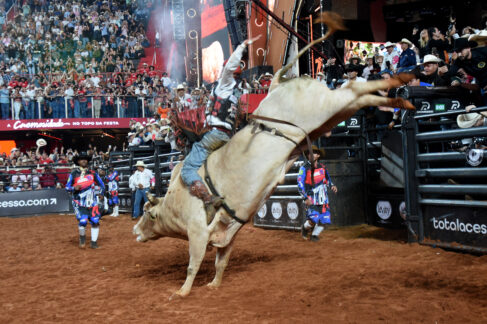 Momentos da Festa do Peão de Barretos