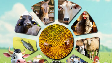 Campanha será realizada até o dia 15 de dezembro