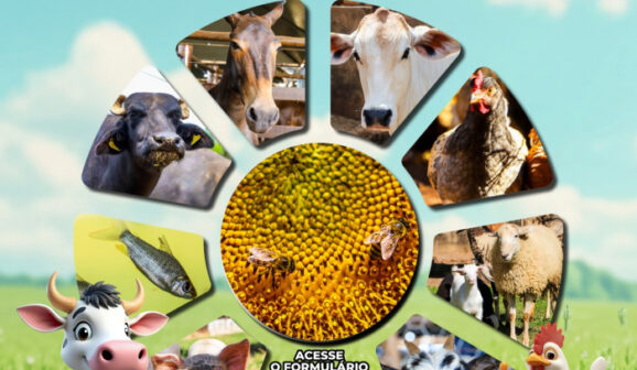 Campanha será realizada até o dia 15 de dezembro