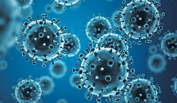 O CVE (Centro de Vigilância Epidemiológica) e a Coordenadoria de Controle de Doenças da Secretaria Estadual de Saúde atualizam diariamente em seu site, os casos de doenças respiratórias