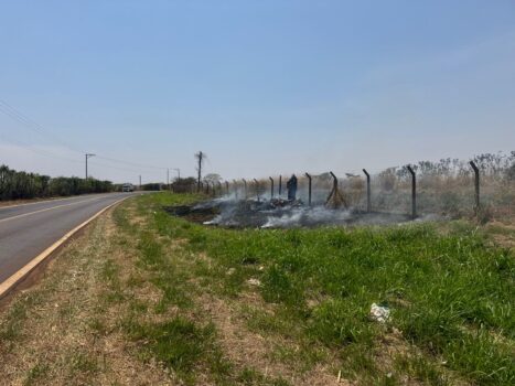 QUEIMADA: Margens da vicinal Pedro Vicentini com registro focos de incêndio Barretos permanece em nível de emergência para risco de queimadas até domingo
