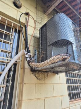 CEMEI no Zequinha Âmendola tem furto de cabos de cobre