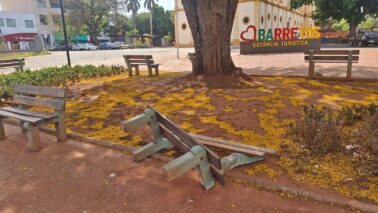 Os munícipes que passam pela Praça Francisco Barreto estão se deparando com um dos bancos caídos, com danos em um dos pés e com a madeira do encosto solto.