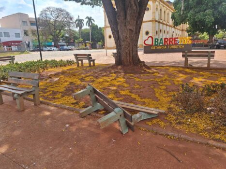 Os munícipes que passam pela Praça Francisco Barreto estão se deparando com um dos bancos caídos, com danos em um dos pés e com a madeira do encosto solto.