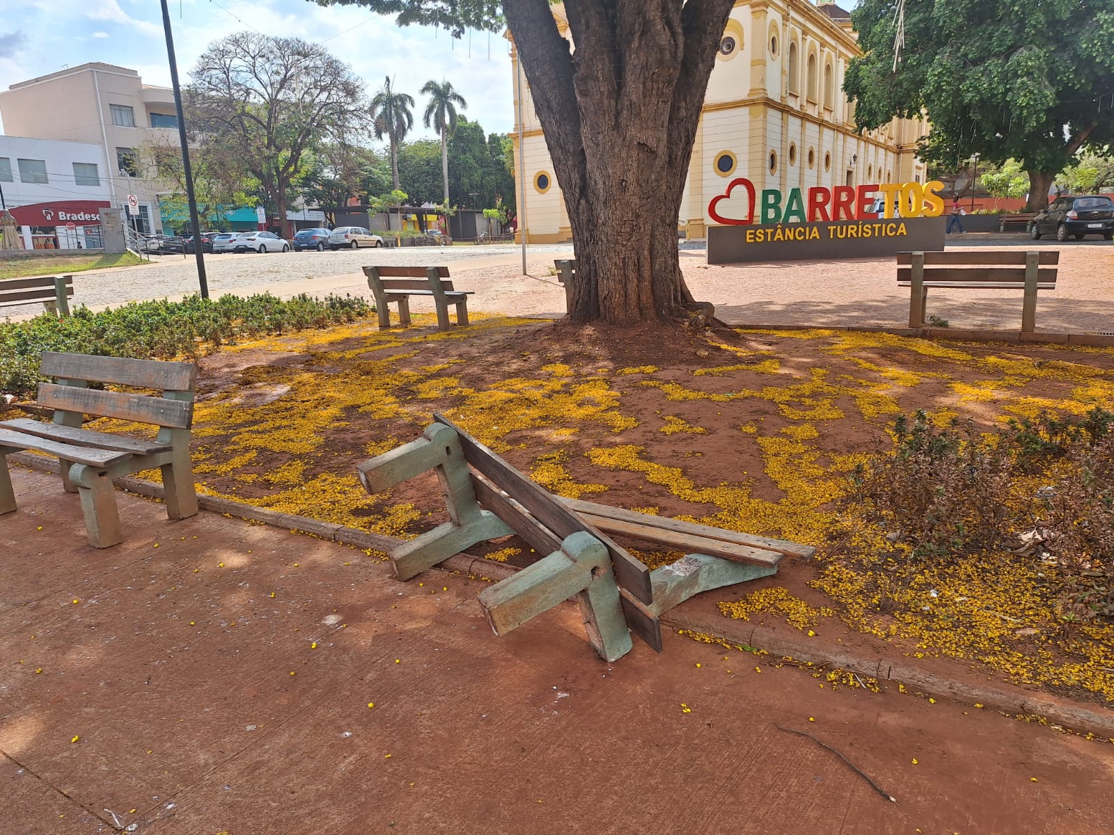 Vândalos danificam banco na Praça Francisco Barreto