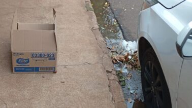 Os moradores que residem na avenida 39, onde acontece todos os domingos as feiras livres, estão reclamando da falta de varrição e limpeza da via pública após a venda dos produtos nos domingos.