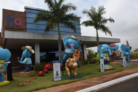 São seis esculturas em grande escala transmitindo mensagens de inclusão, diversidade e superação (Foto: Tininho Júnior)