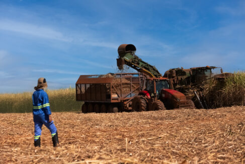 Empresa adota práticas sustentáveis inclusive no campo (Foto: Divulgação)