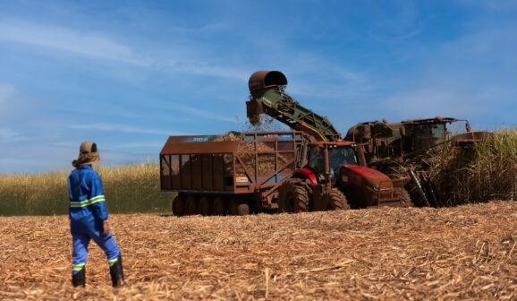 Empresa adota práticas sustentáveis inclusive no campo (Foto: Divulgação)