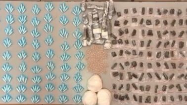 PM encontra mais de 1kg de drogas enterradas em pasto (Foto: O Diário de Barretos)