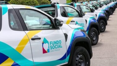 Parte dos veículos entregues para cidades paulistas (Foto: Governo de SP)