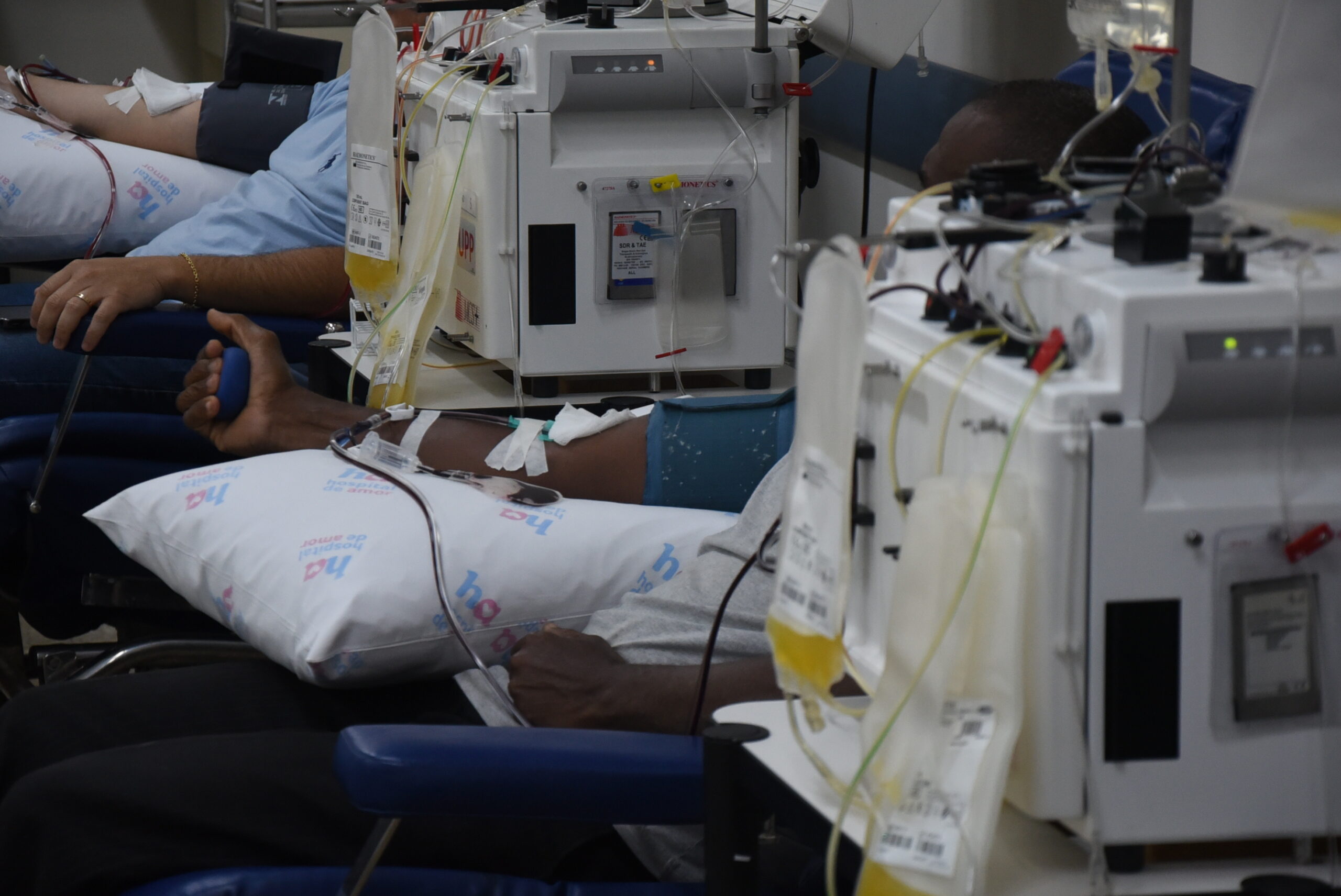 “Quando o sangue falta, a vida fica em suspenso”