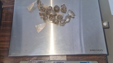 Jovem é preso por tráfico de entorpecente em Guaíra (Foto: O Diário de Barretos)