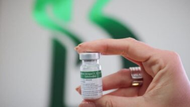 Aprovada primeira vacina de dose única contra a dengue