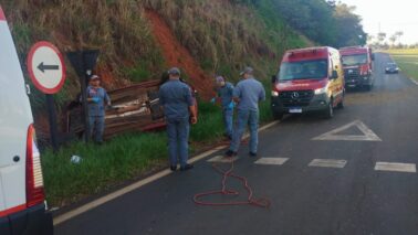 Acidente mobiliza equipes de resgate na rodovia Faria Lima em Barretos (Foto: O Diário de Barretos)