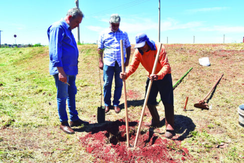 Município inicia plantio de árvores em parceria com empresa de energia