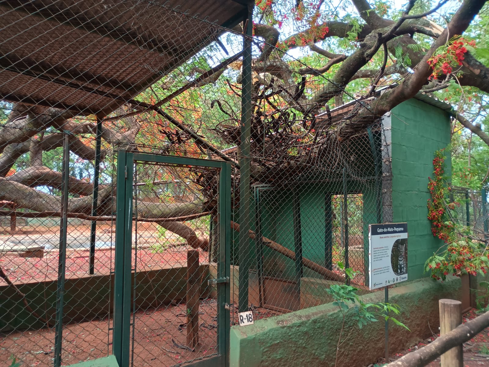 Zoo fecha temporariamente após danos por ventania em Guaíra