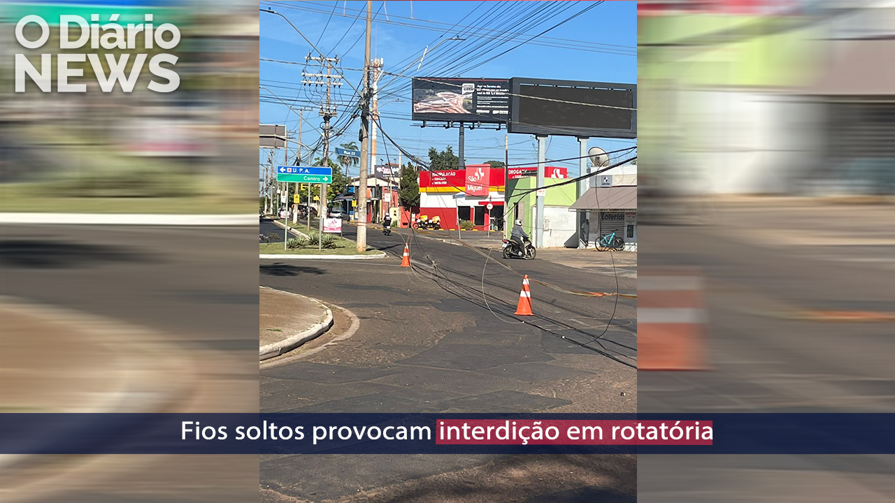 O Diário News – 11/11/2025