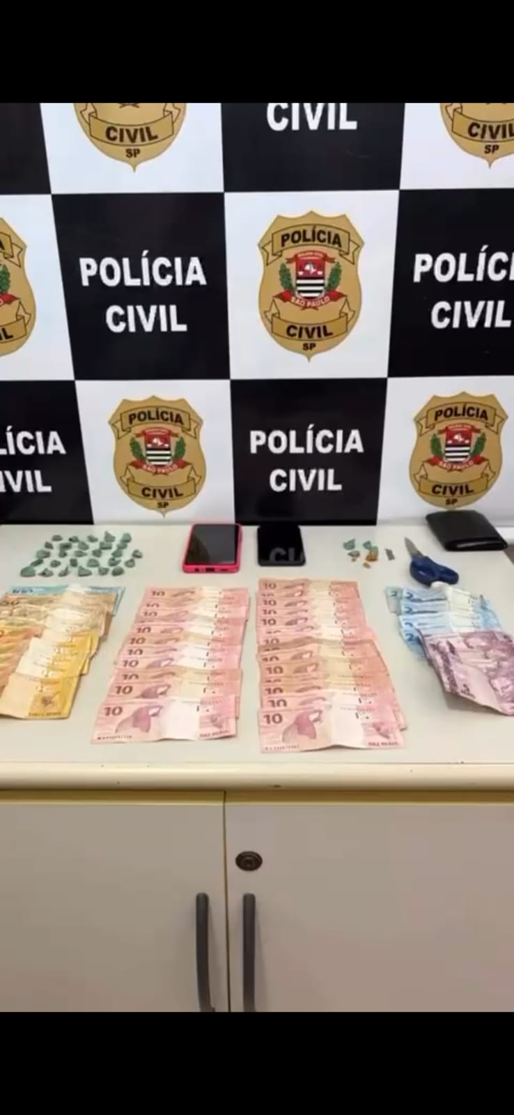 Polícia Civil prende duas mulheres por tráfico em Colina