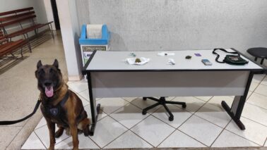 Jovens são detidos pela PM na prática de tráfico no bairro Baroni (Foto: O Diário de Barretos)