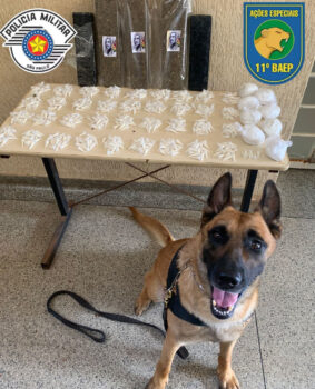 PM apreende mais de 5kg de entorpecentes em área de mata (Foto: O Diário de Barretos)