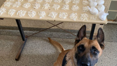 PM apreende mais de 5kg de entorpecentes em área de mata (Foto: O Diário de Barretos)