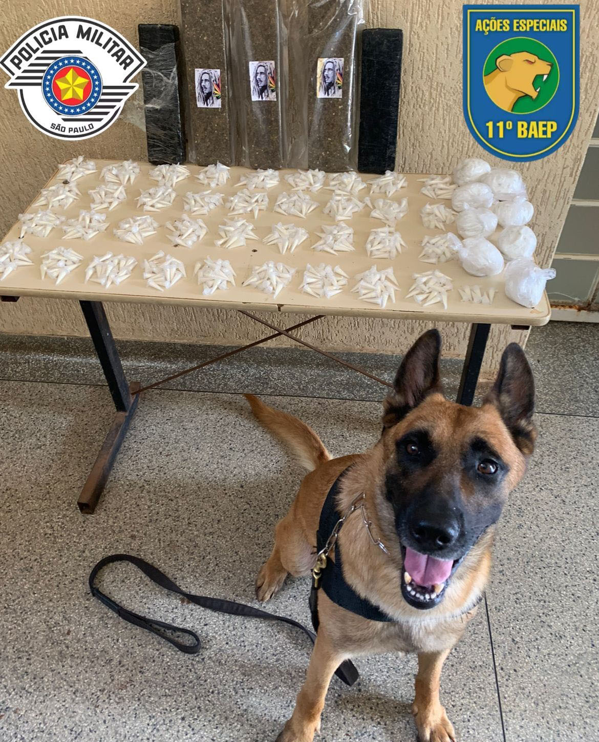 PM apreende mais de 5kg de entorpecentes em área de mata