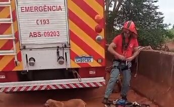 Os homens do Corpo de Bombeiros resgataram na manhã desta quarta-feira (3), um cão de porte médio que estava no interior do traçado da linha férrea, nos fundos do bairro Mais Parque.