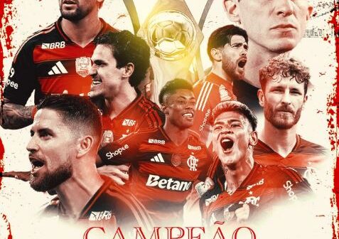 Com um gol do atacante Samuel Lino, o Flamengo derrotou o Ceará por 1 a 0 para garantir o título do Campeonato Brasileiro, na noite desta quarta-feira (3) no estádio do Maracanã, no Rio de Janeiro.