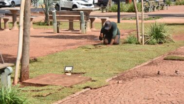 Praça Francisco Barreto é revitalizada com plantio de grama