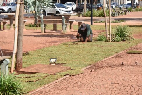Praça Francisco Barreto é revitalizada com plantio de grama