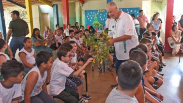 Município lança projeto sustentável para combater mosquito da dengue