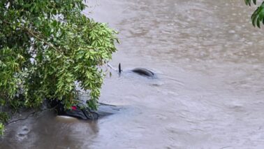 Carro com dois ocupantes cai dentro de córrego na Assis Chateaubriand (Foto: O Diário de Barretos)