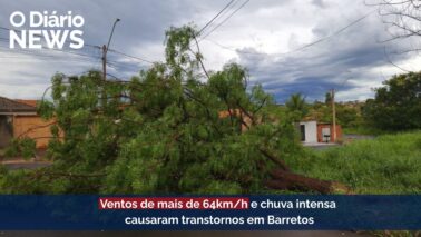 O Diário News – 15/01/2026