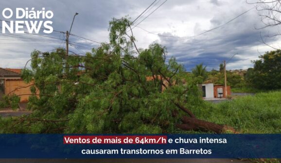 O Diário News – 15/01/2026