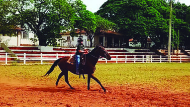 Centro de Formação Equestre oferece aulas gratuitas no Recinto