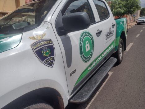 Jovem é surpreendido pela Guarda Municipal após furto (Foto: O Diário de Barretos)