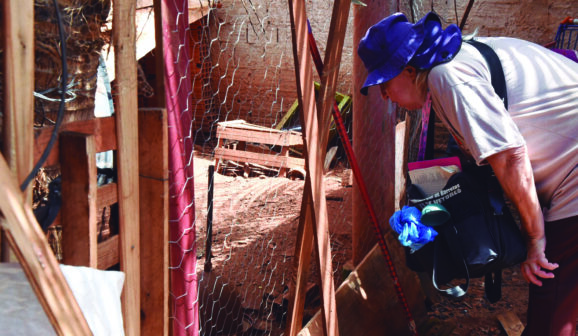 Uma semana de ações contra a dengue elimina 97 criadouros