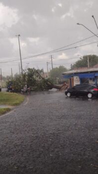 Barretos teve chuva intensa na última quarta-feira (14) e quadro pode se repetir nos próximos dias