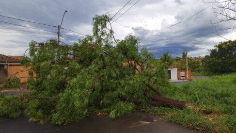 A forte chuva que atingiu Barretos na tarde desta quarta-feira (14), registrou rajadas de vento que chegaram a 64,4 km/h conforme dados apurados na Estação Meteorológica Observa Clima