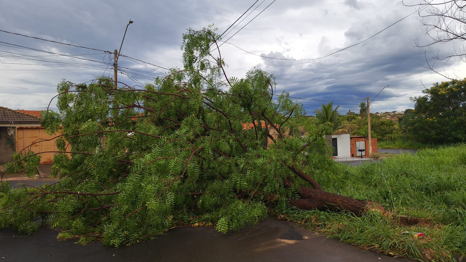 Temporal teve rajadas de 64,4 km/h em Barretos
