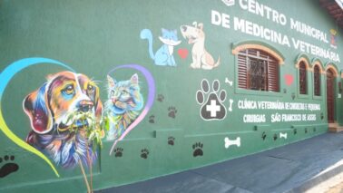 Município oferece vacinação gratuita de cães e gatos contra raiva