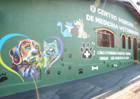 Município oferece vacinação gratuita de cães e gatos contra raiva