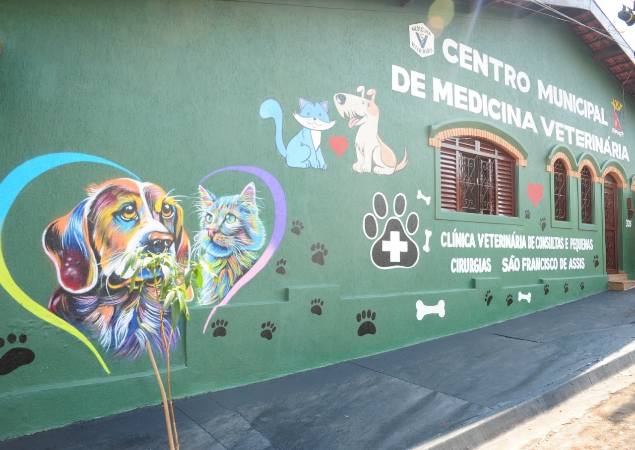 Município oferece vacinação gratuita de cães e gatos contra raiva
