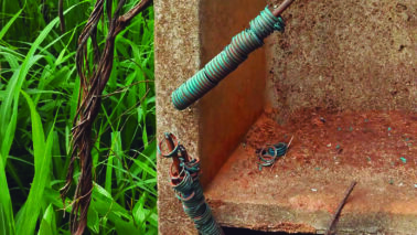Vândalos furtam fiação das torres de iluminação do estádio Fortaleza